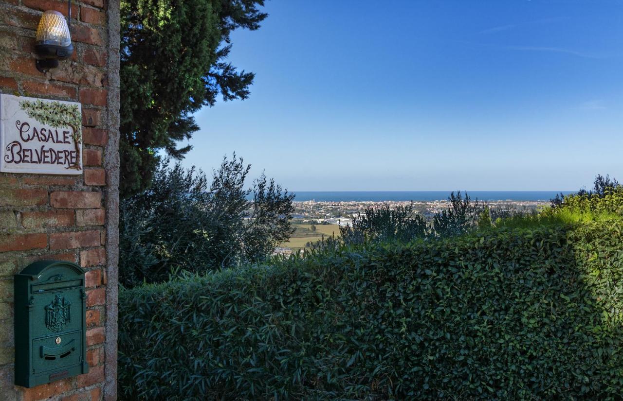 Casale Belvedere "Il Melograno" Массароза Екстер'єр фото